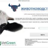 DEMO Каталог книги