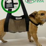 Сумка для взвешивания животных, переноска купить Ветгрин