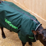 Попона VetGreen «Оксфорд + Дралон» ❄️🐮